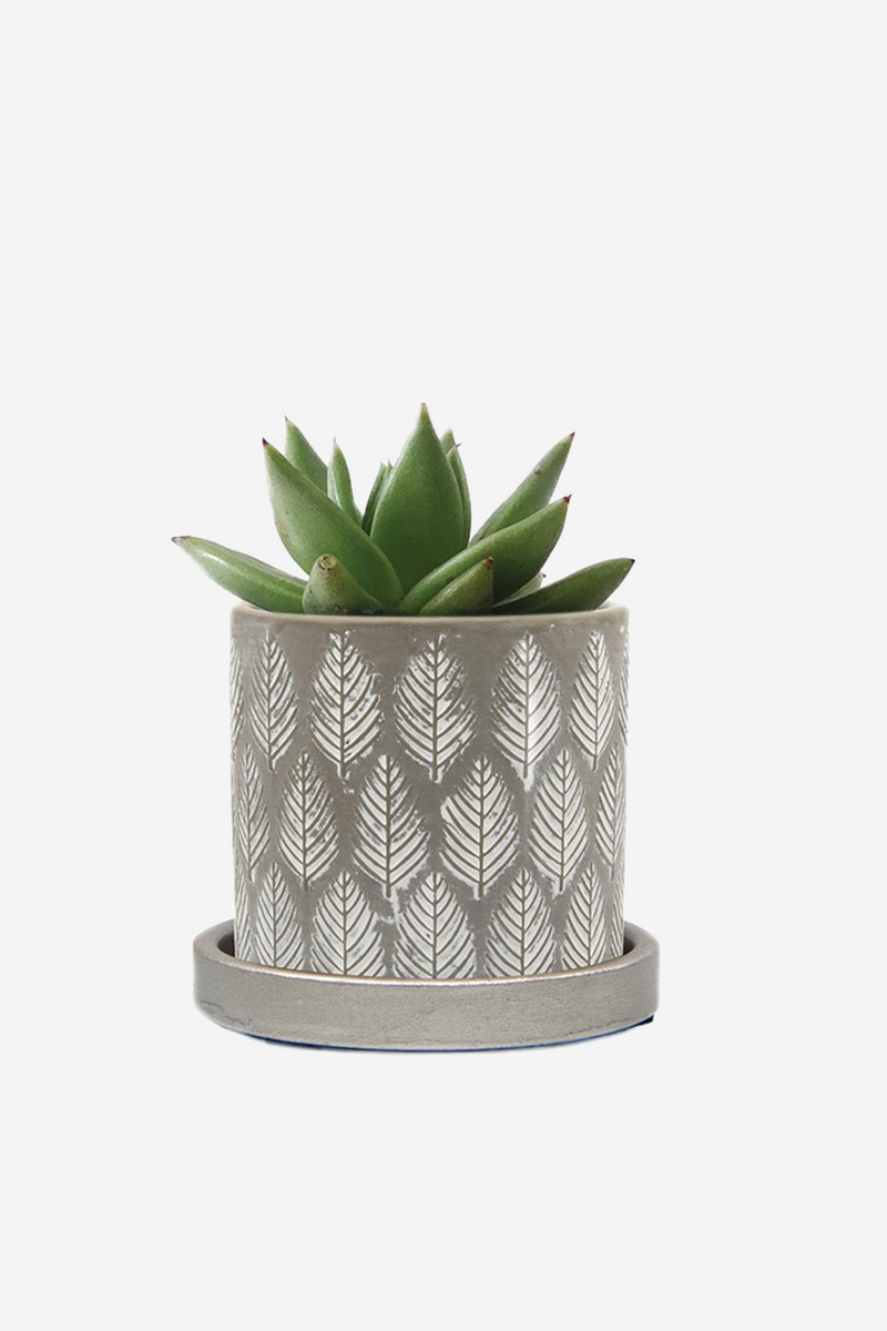 Balter 3.5" Pot + Saucer
