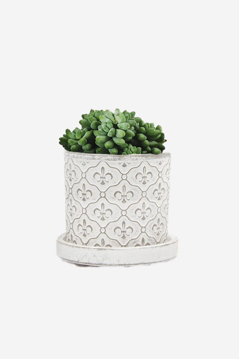 Balter 3.5" Pot + Saucer