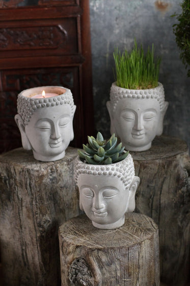 Cement Buddah Planter