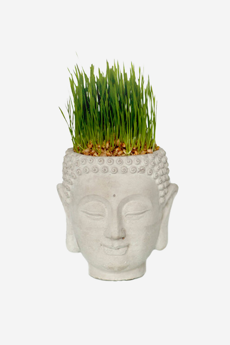 Cement Buddah Planter