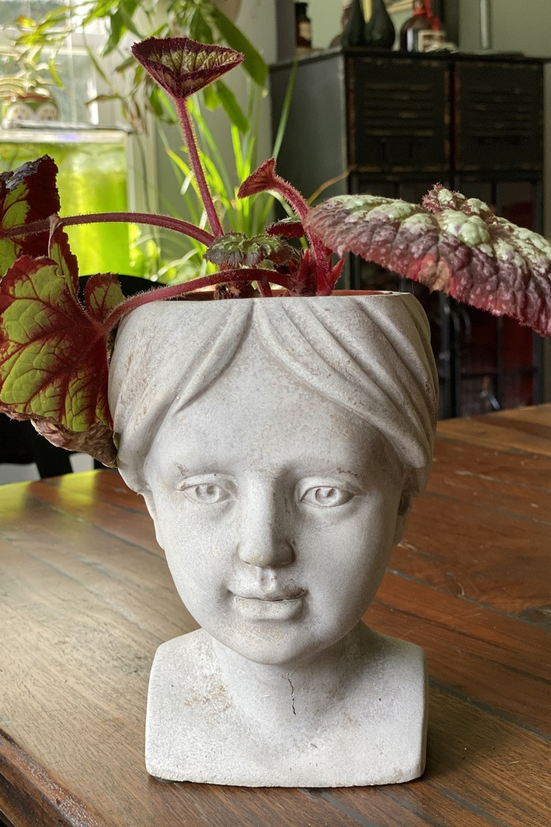 Female Cement Planter