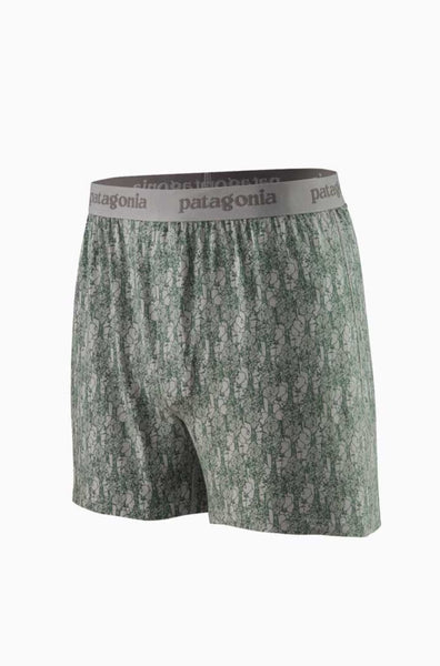 Patagonia Men's Essential Boxers - 4½