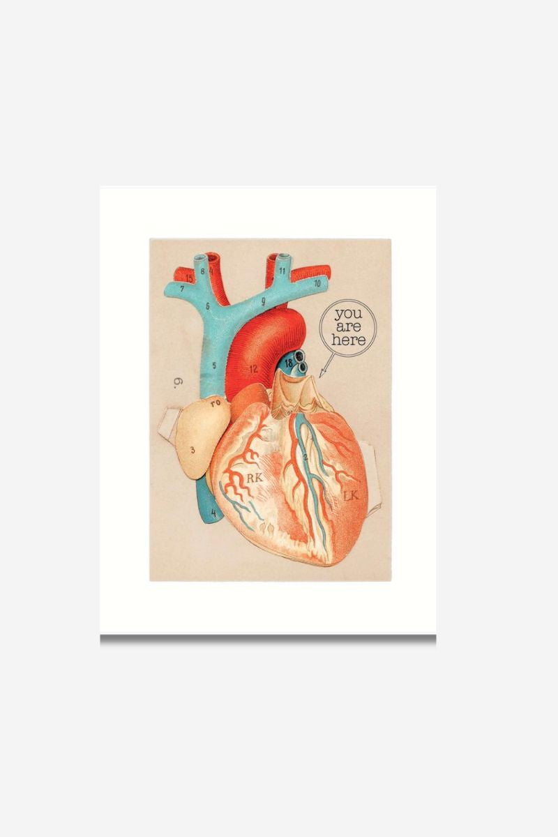 Anatomical Heart | Love Greeting Card