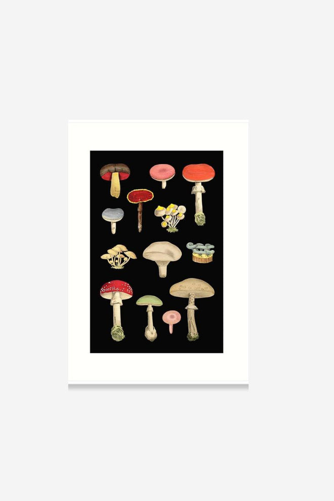 Mushrooms | Blank Greeting Card