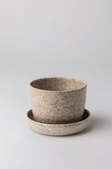 Rice Husk Mini Planter