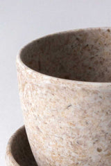 Rice Husk Mini Planter