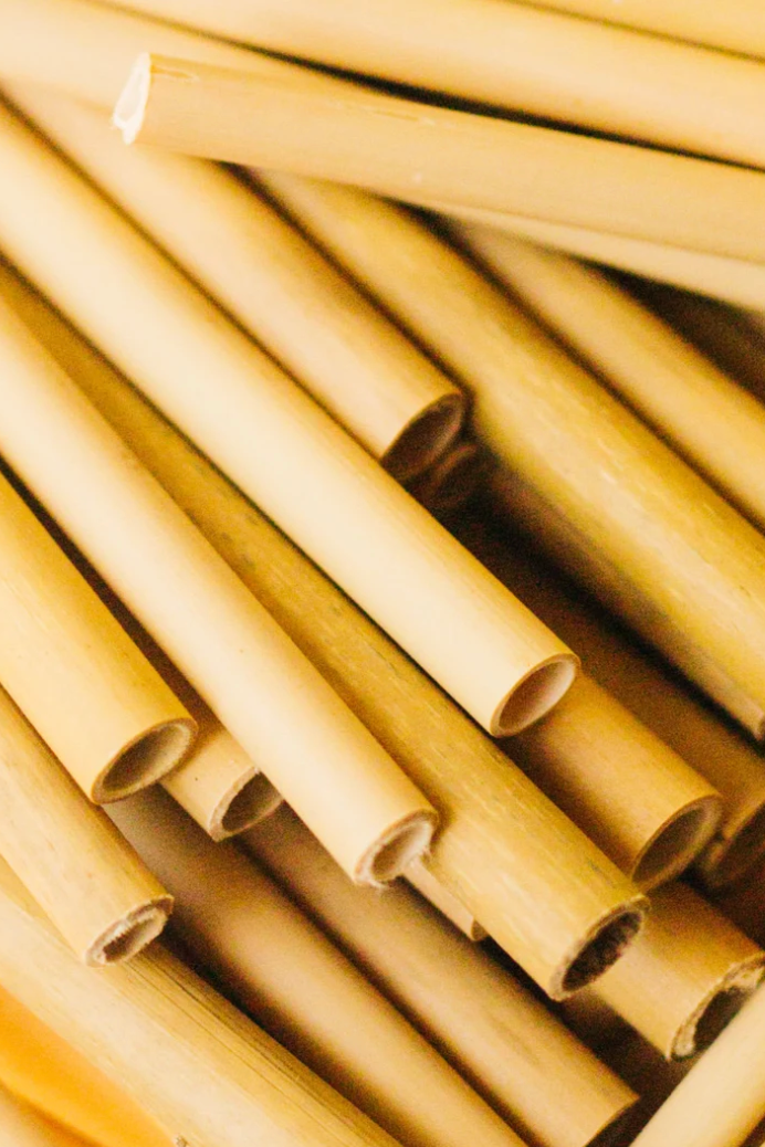 Bamboo Straw Set/5
