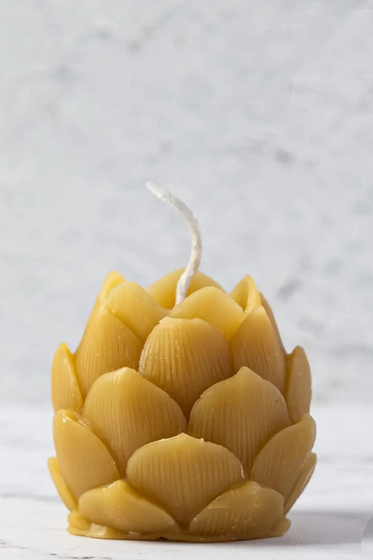 Hops Cone Candle