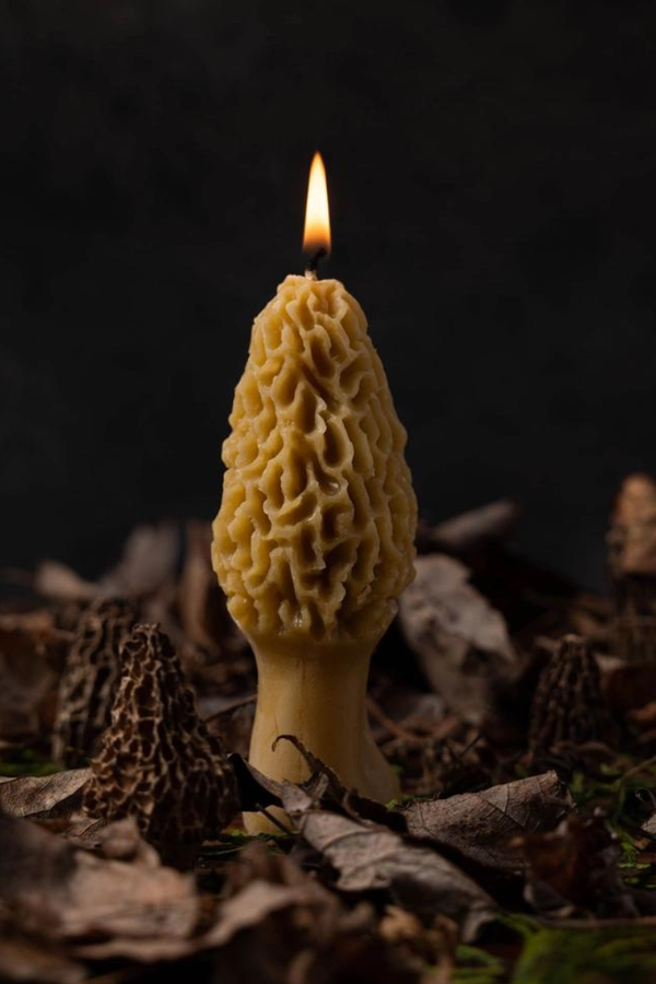 Beeswax Morel Candle