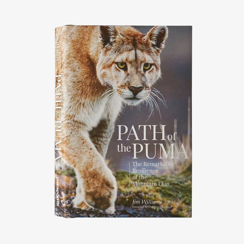 Path of The Puma
