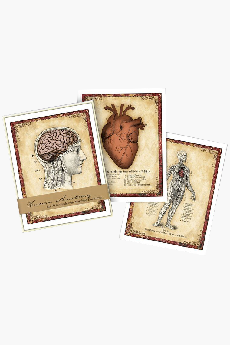 Note Cards, Set of 6